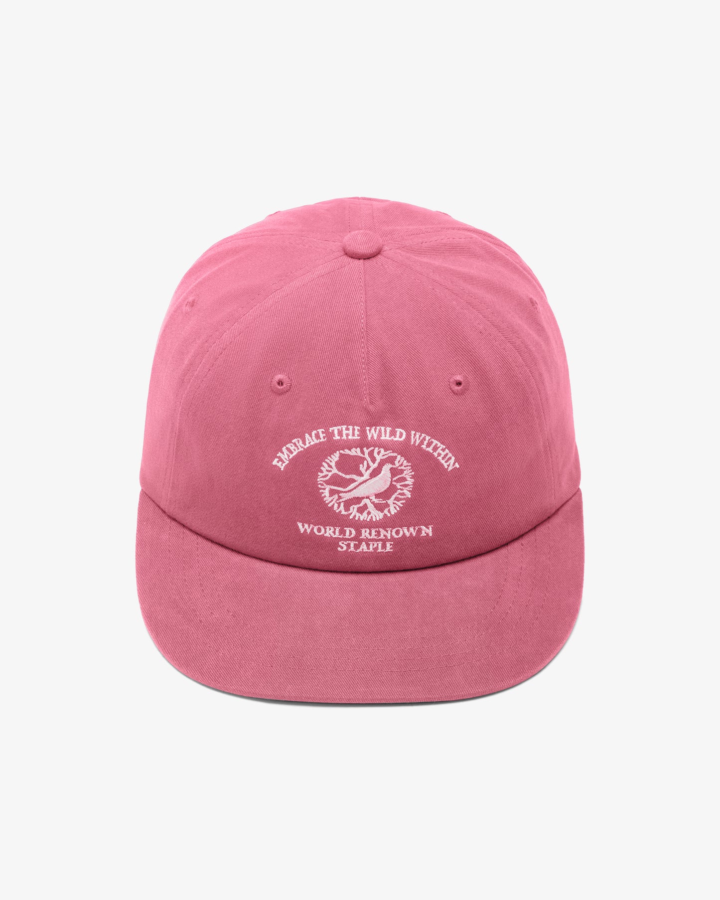 WILD WITHIN SNAPBACK CAP