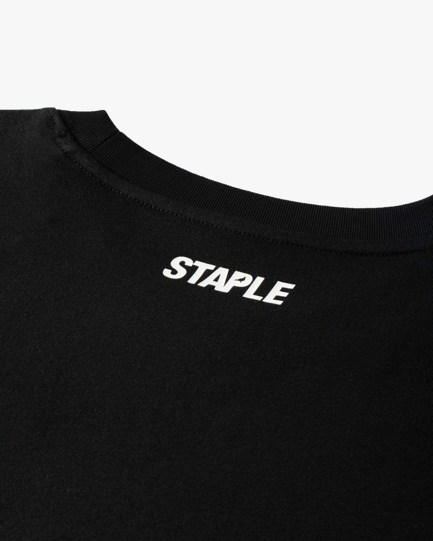 FLIGHT OF HISTORY TEE