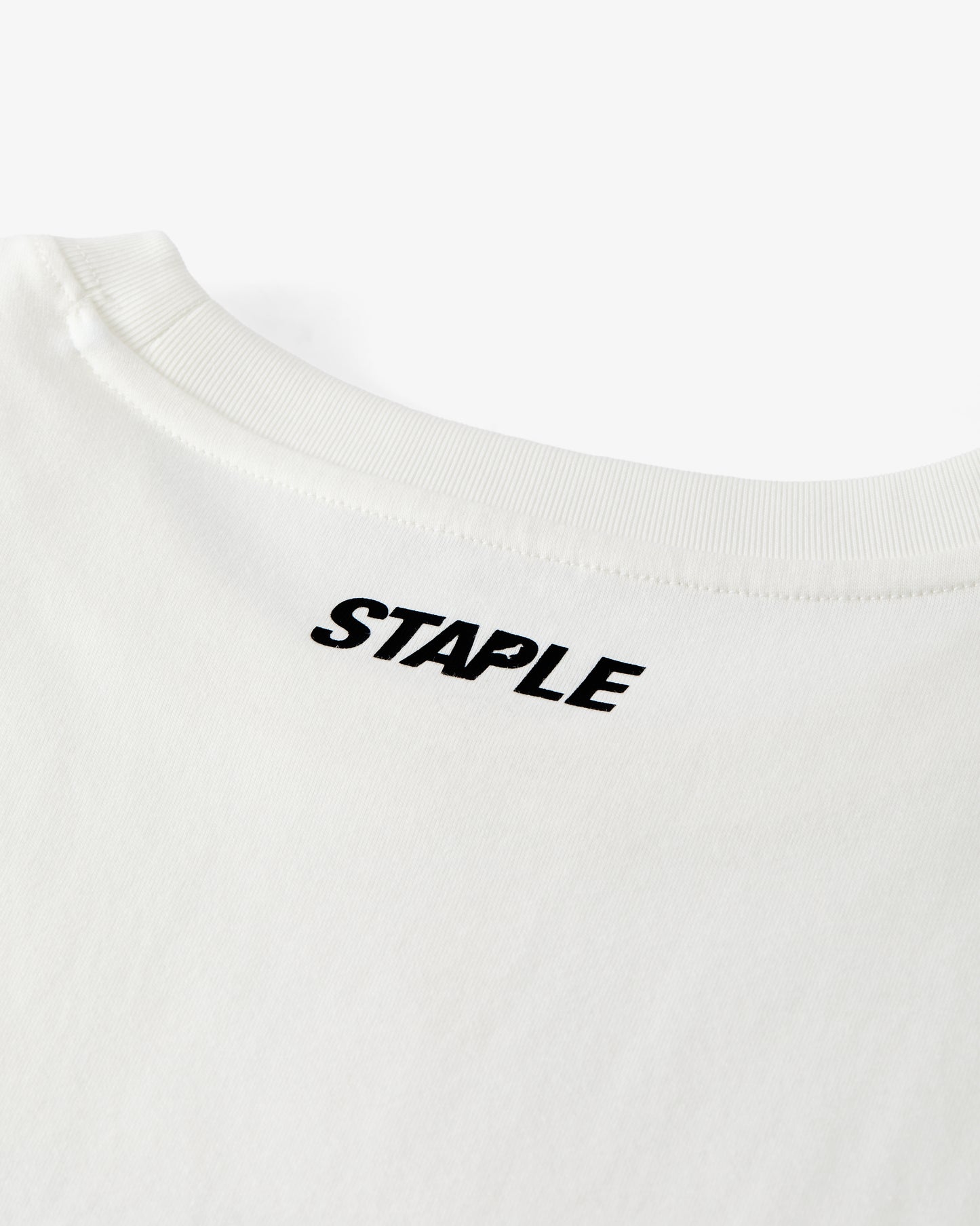 FLIGHT OF HISTORY TEE