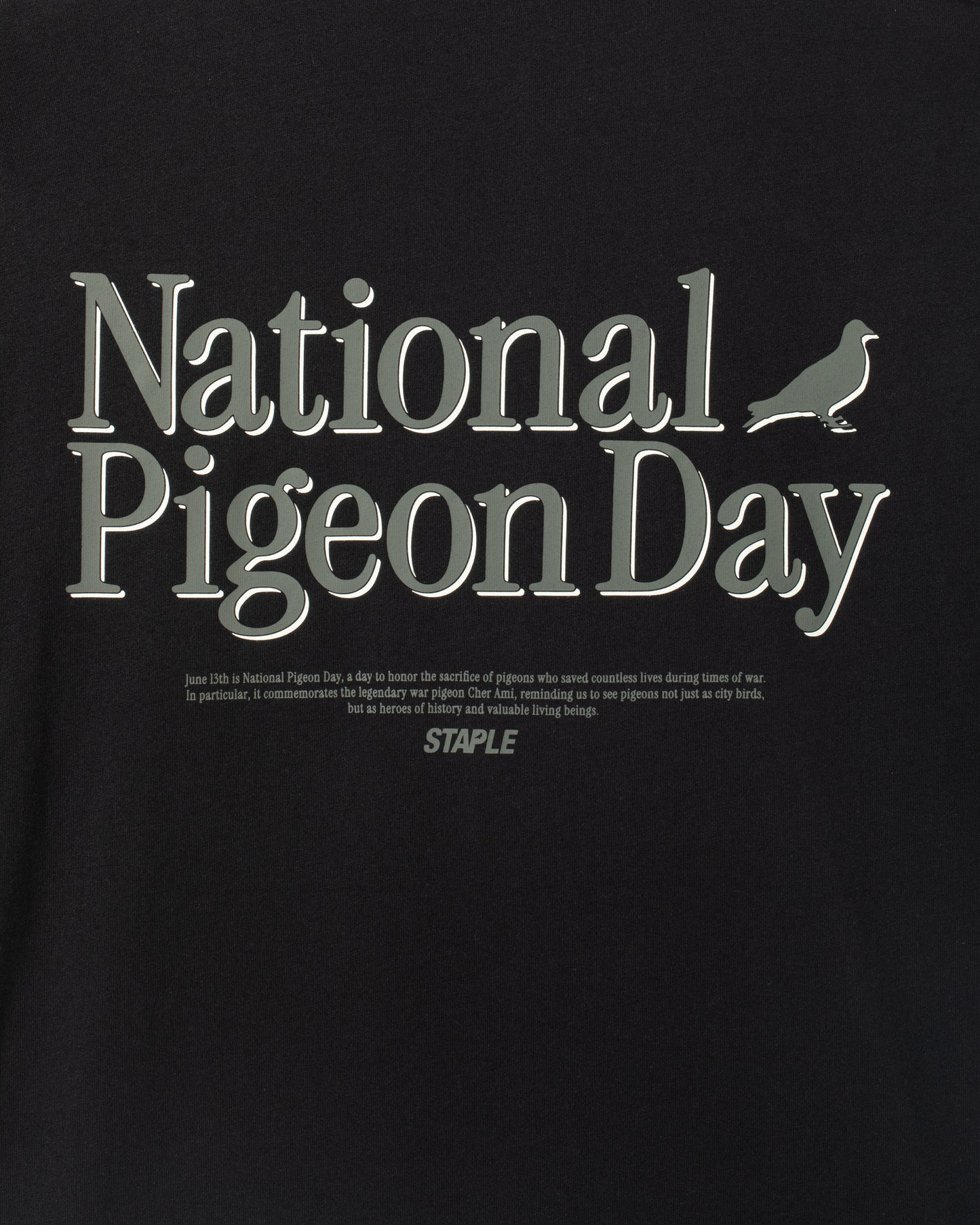 National Pigeon Day Tee