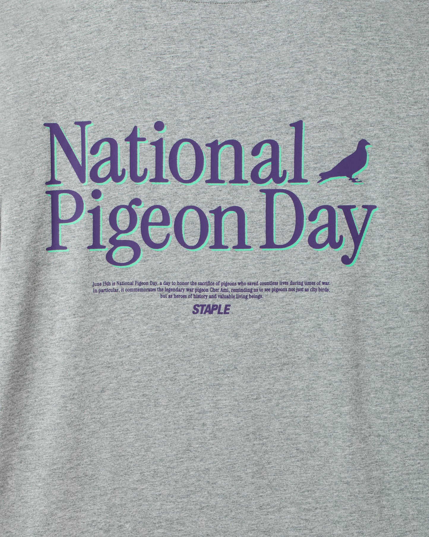 National Pigeon Day Tee