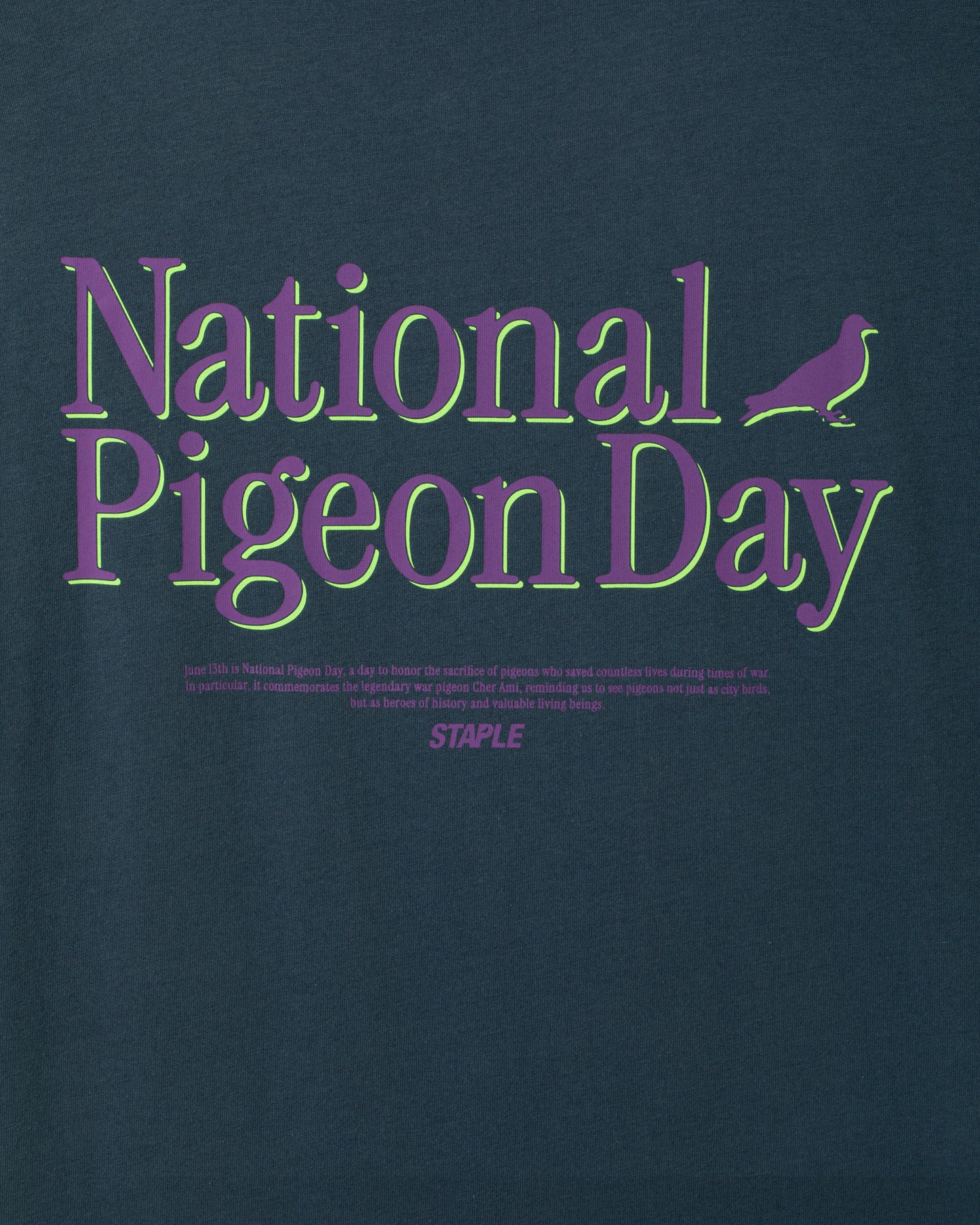 National Pigeon Day Tee