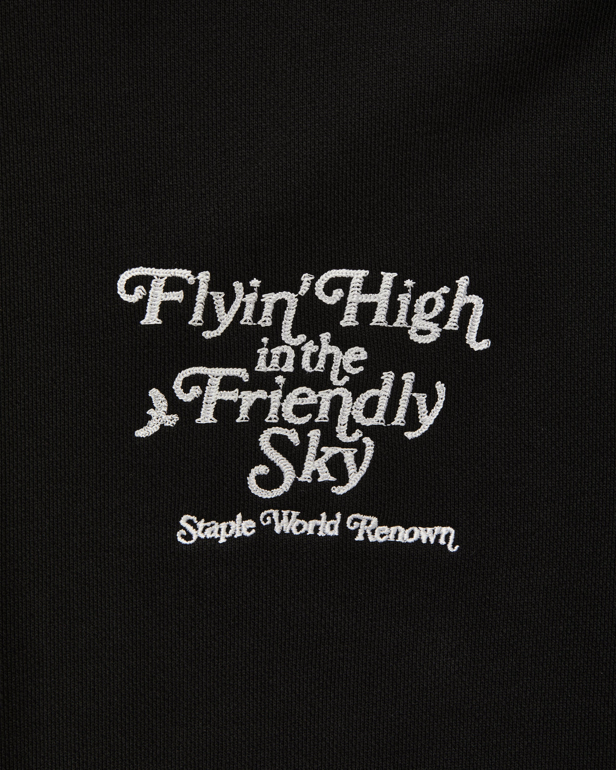 Friendly Sky Hoodie - LS Hoodie | Staple Pigeon