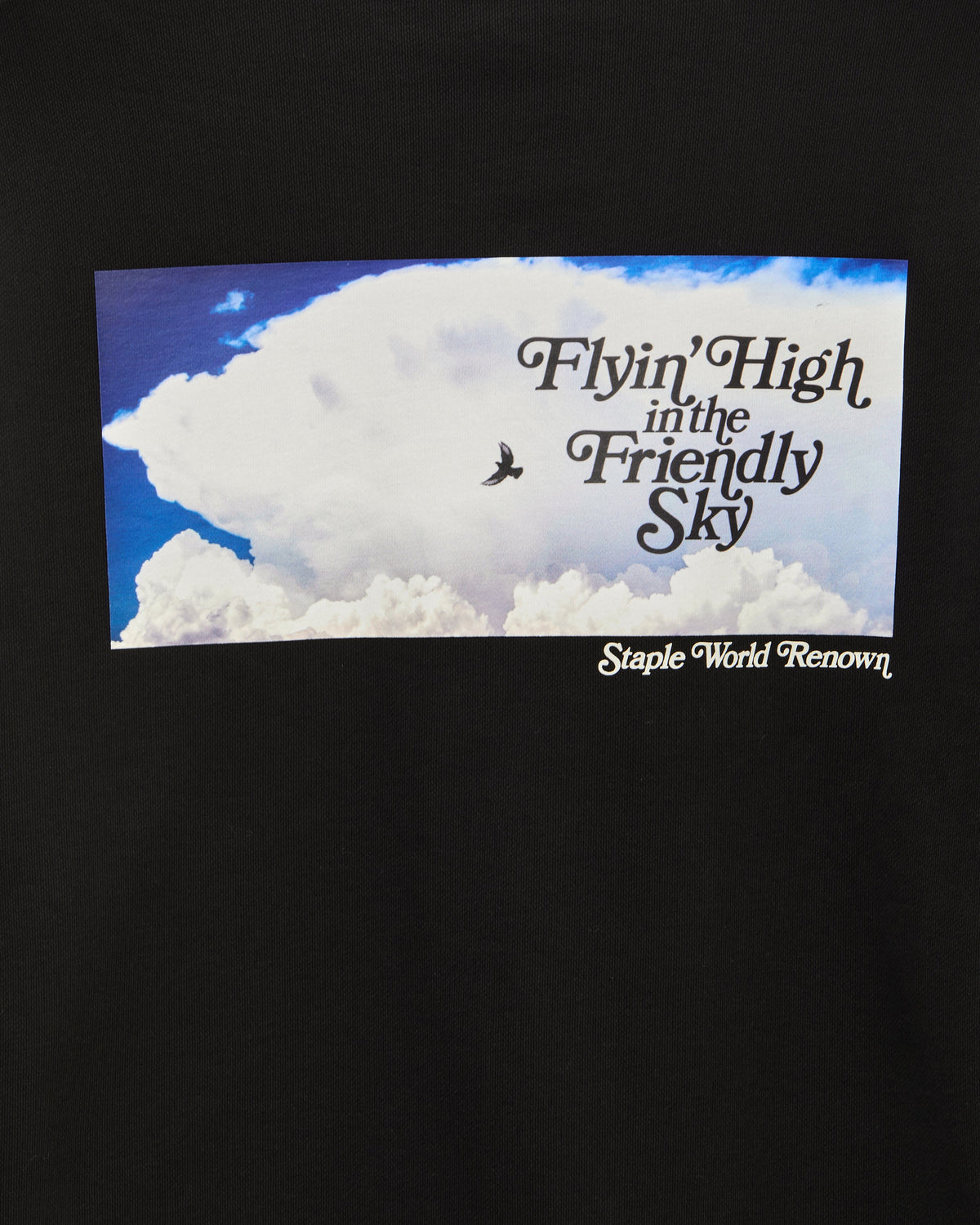Friendly Sky Hoodie - LS Hoodie | Staple Pigeon
