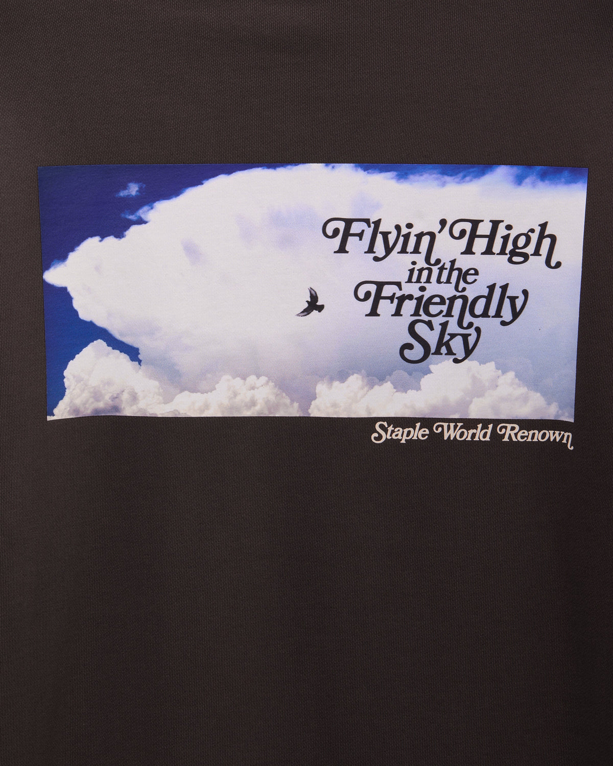 Friendly Sky Hoodie - LS Hoodie | Staple Pigeon
