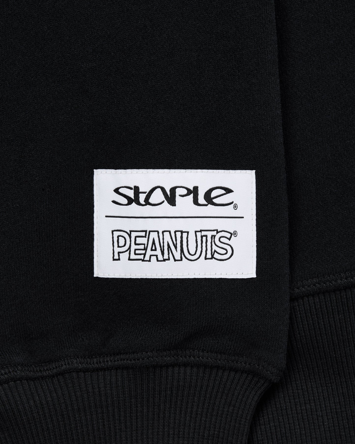 Staple x Peanuts Gang Hoodie - LS Hoodie | Staple Pigeon