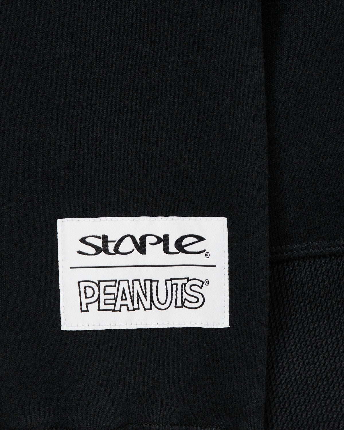 Staple x Peanuts Records Hoodie
