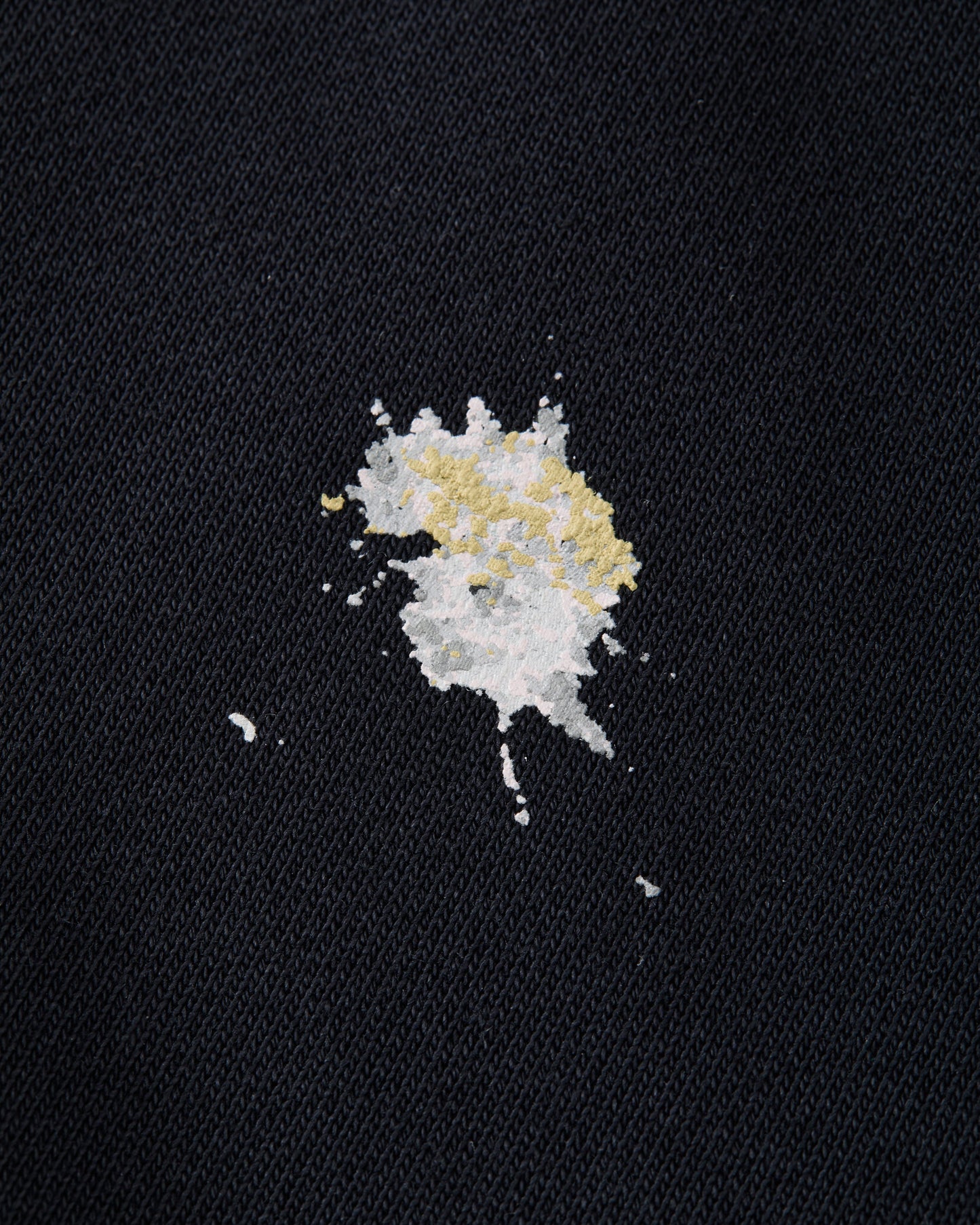 St. Johns Pigeon Hoodie