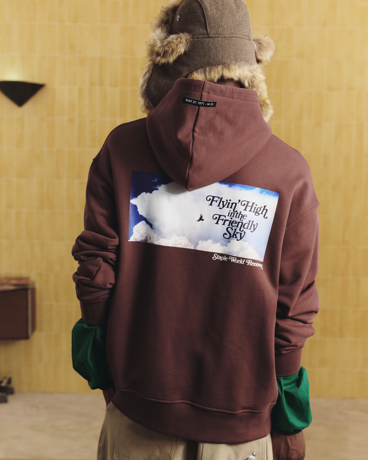 Friendly Sky Hoodie - LS Hoodie | Staple Pigeon