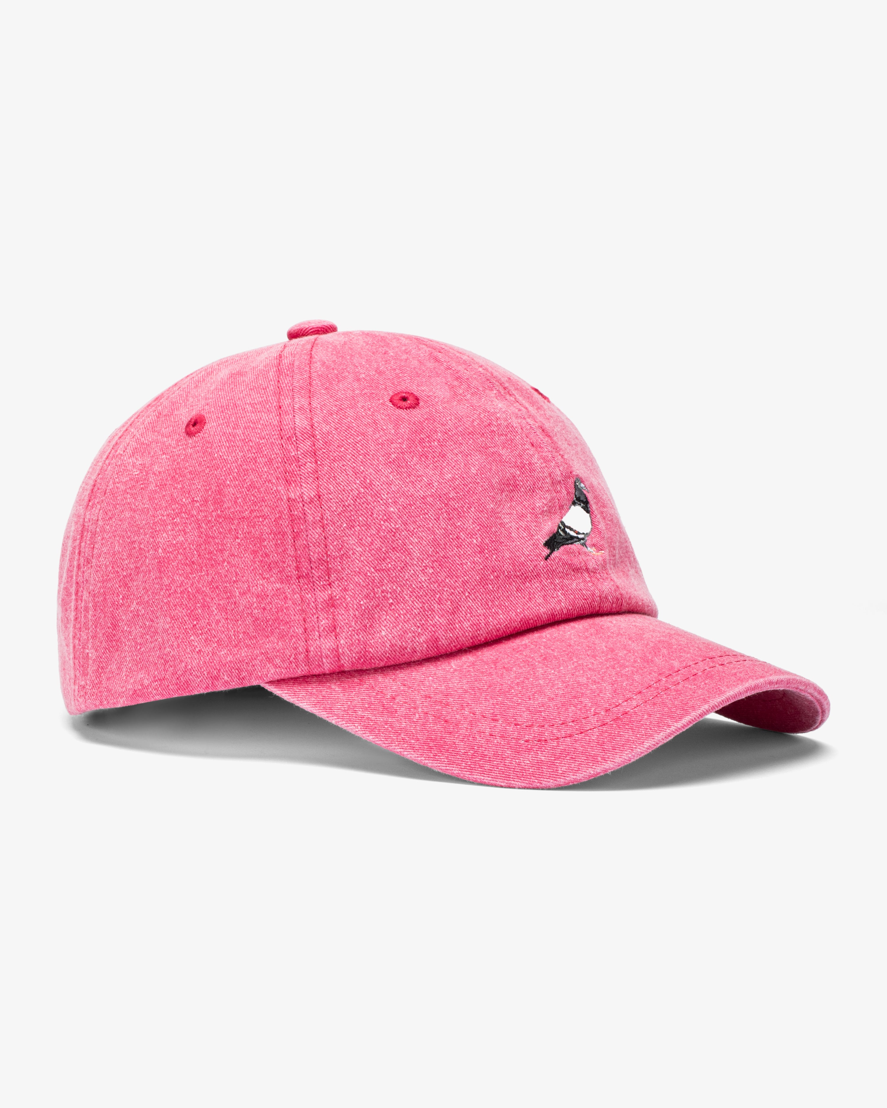 PIGEON LOGO WASHED CAP