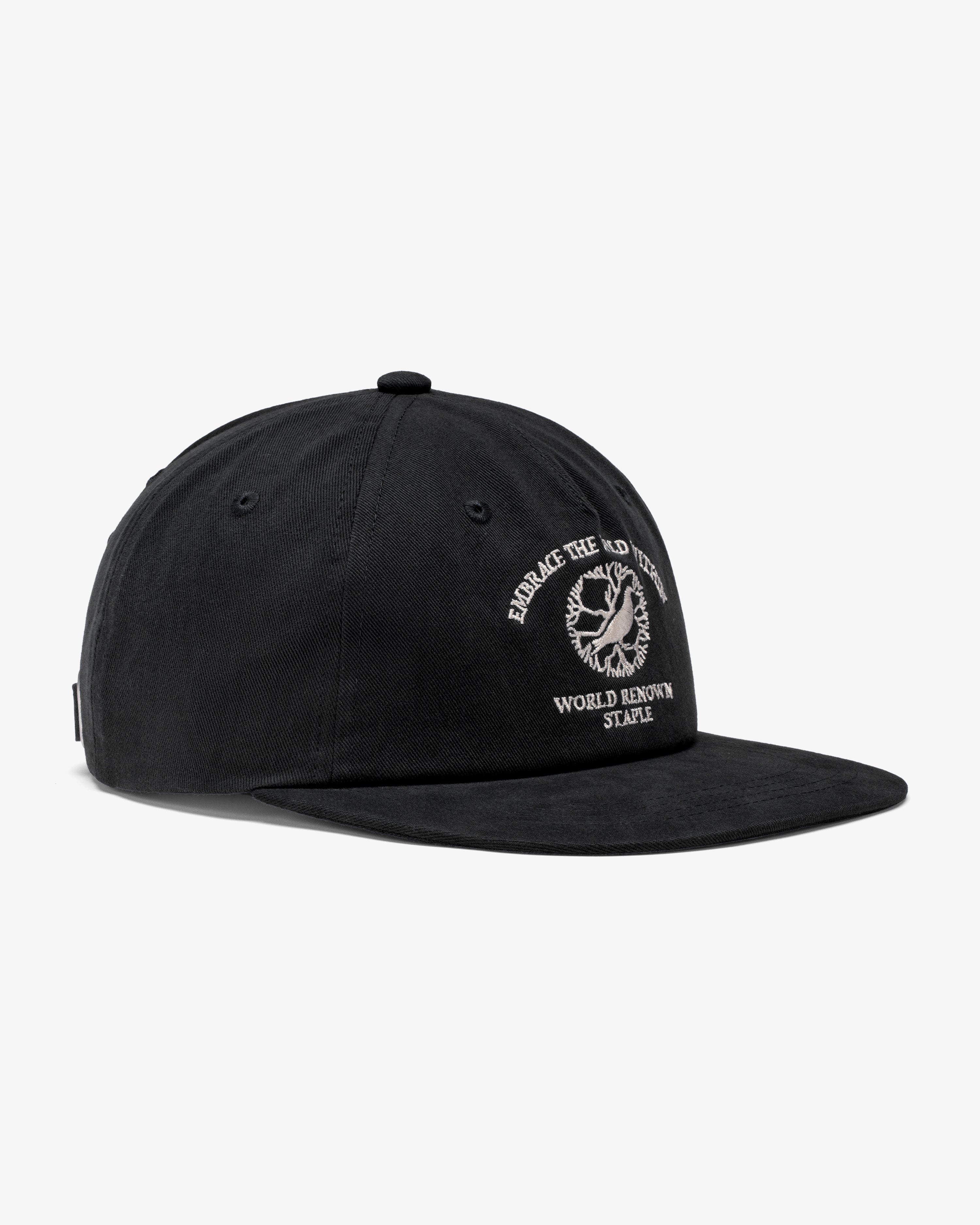WILD WITHIN SNAPBACK CAP