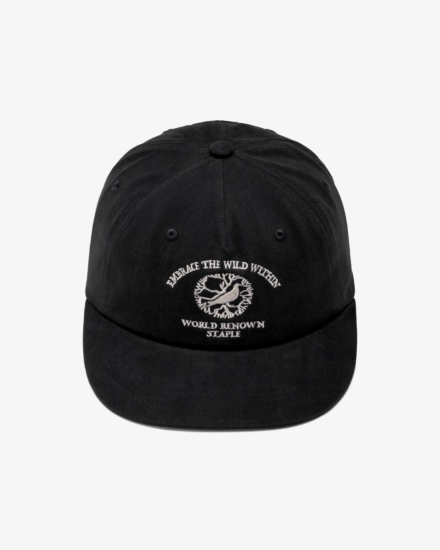 WILD WITHIN SNAPBACK CAP