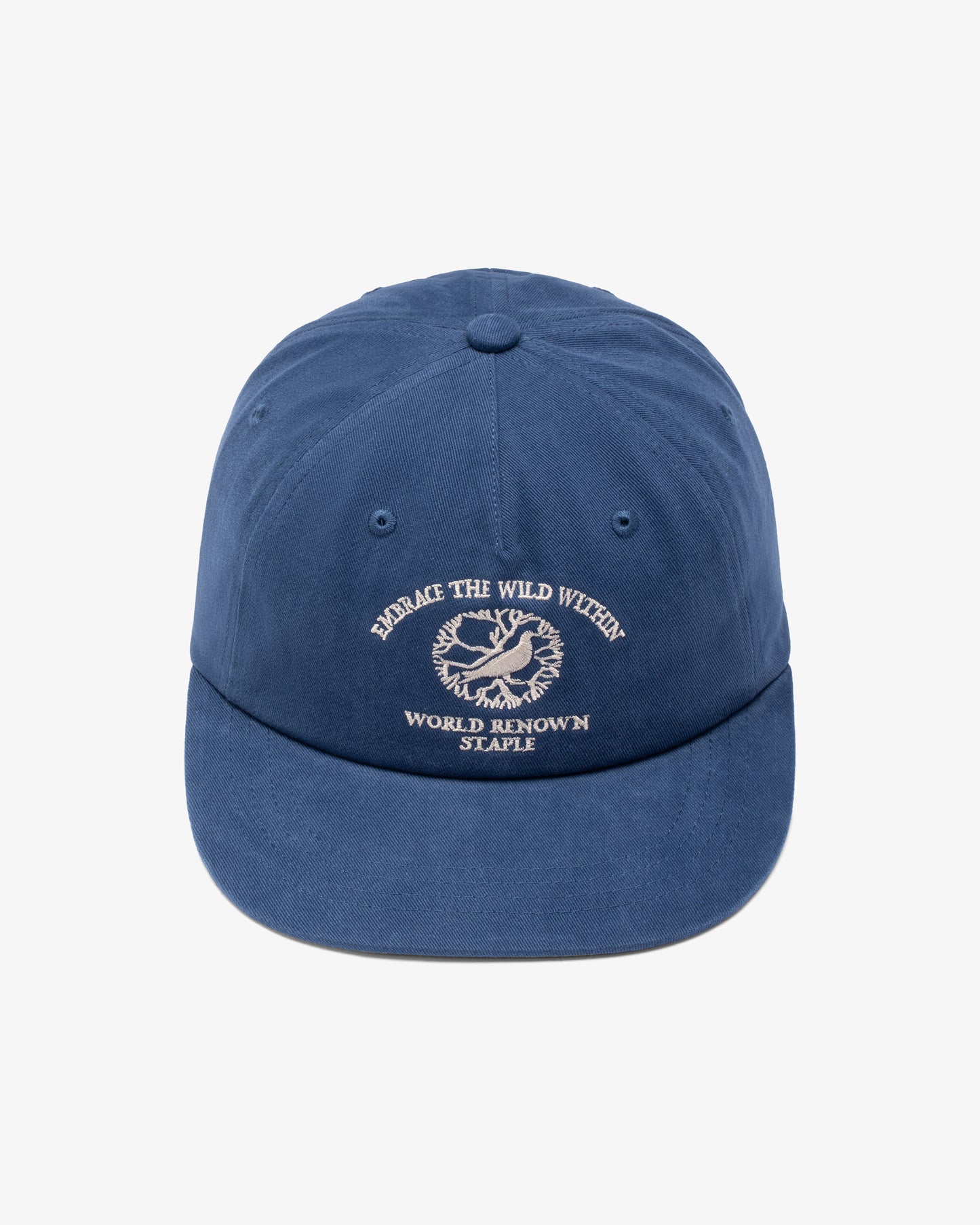 WILD WITHIN SNAPBACK CAP