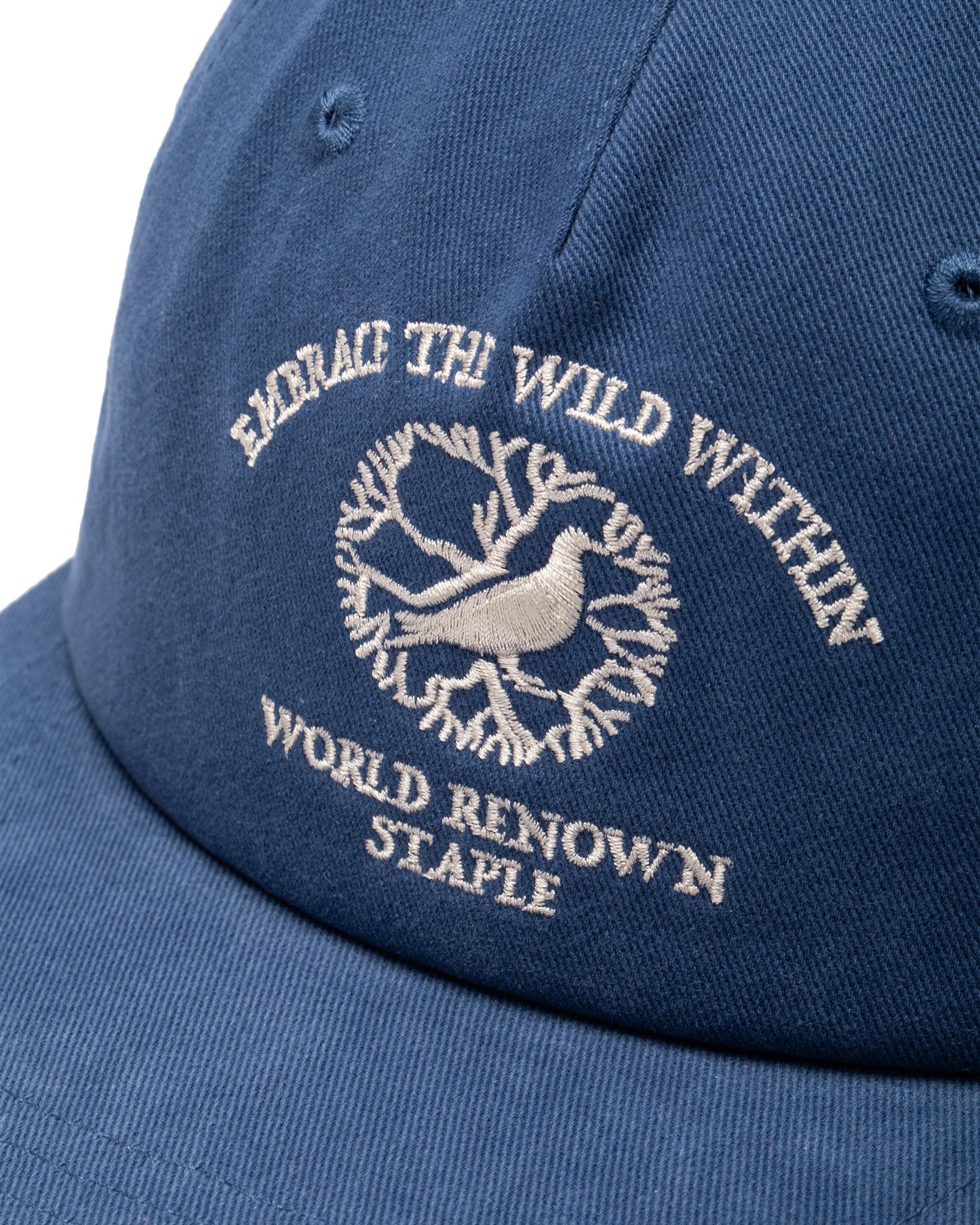 WILD WITHIN SNAPBACK CAP