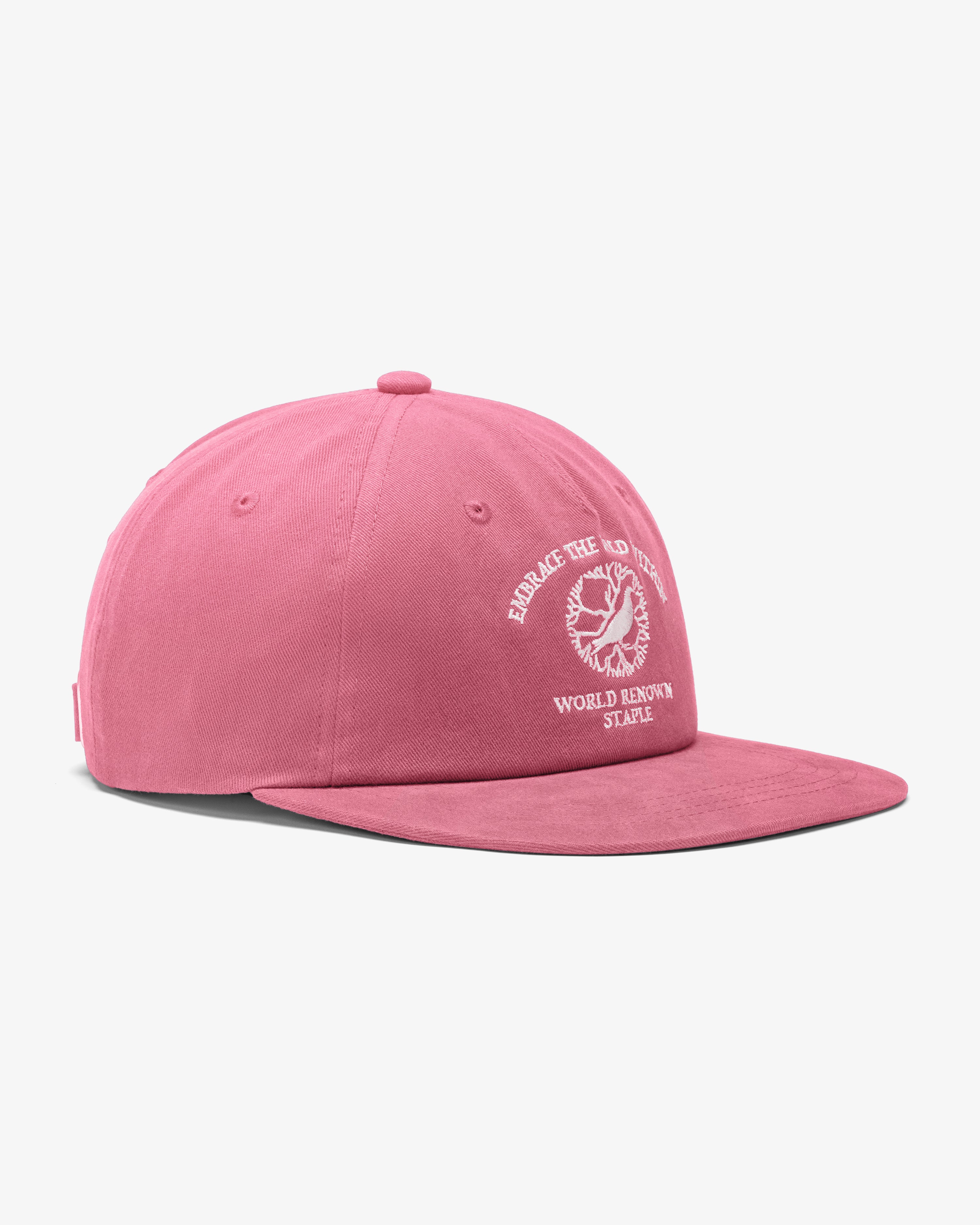 WILD WITHIN SNAPBACK CAP