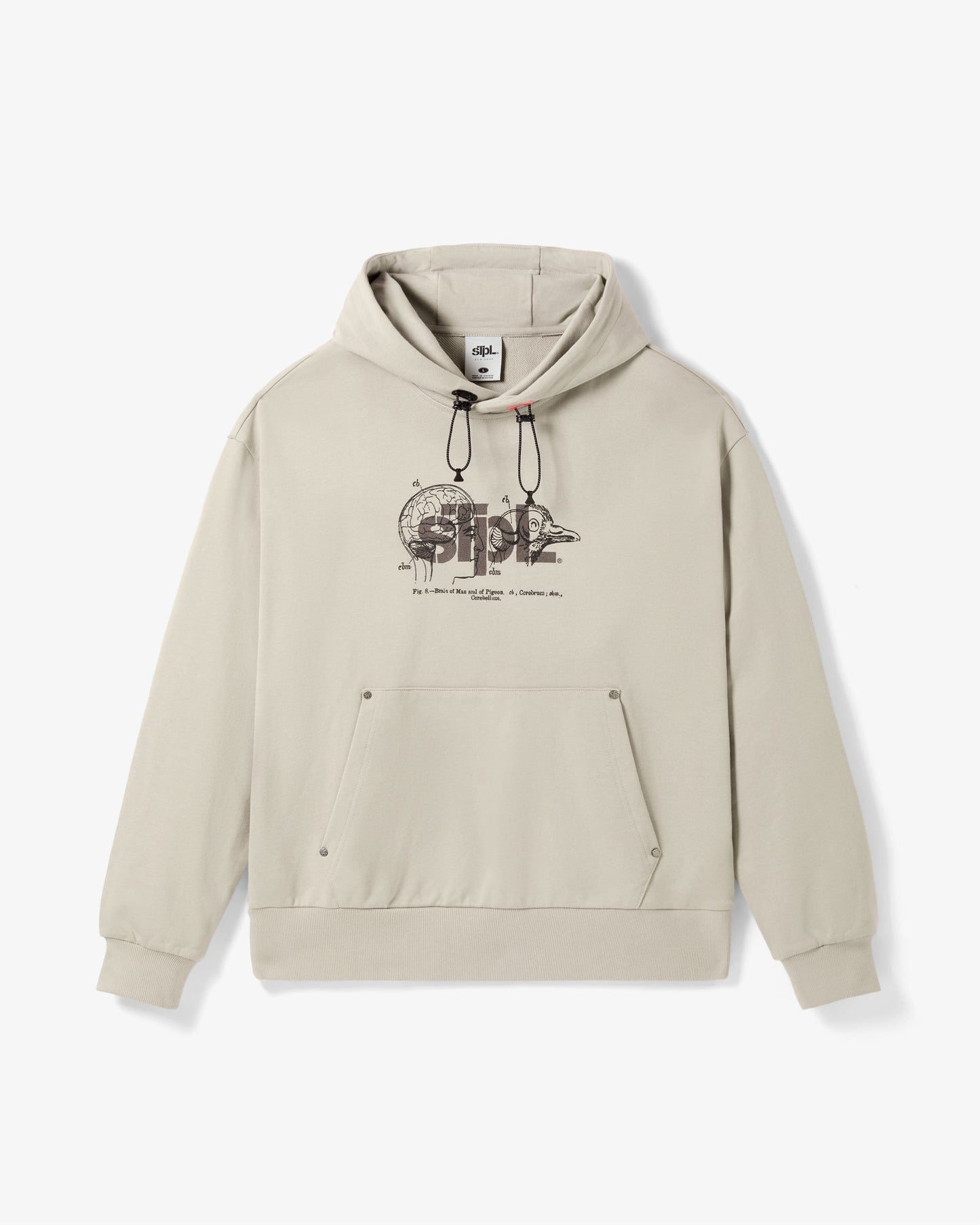 APEX LOGO HOODIE