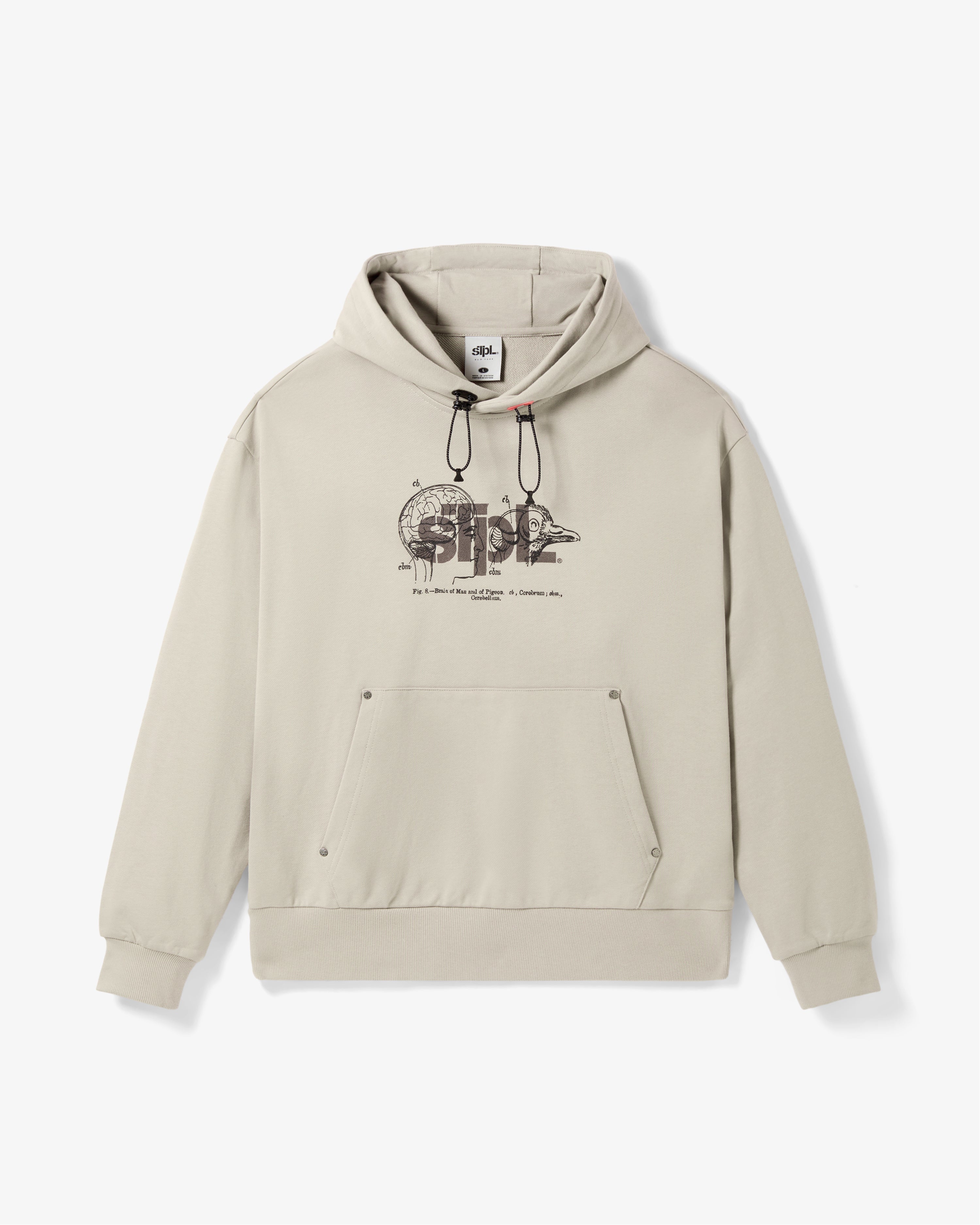 APEX LOGO HOODIE