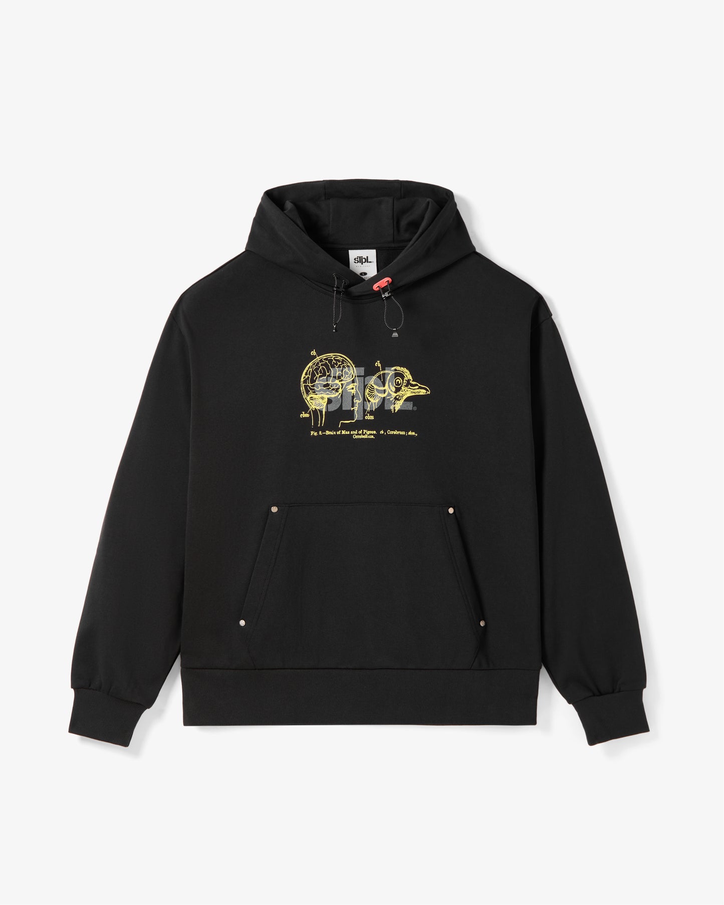 APEX LOGO HOODIE