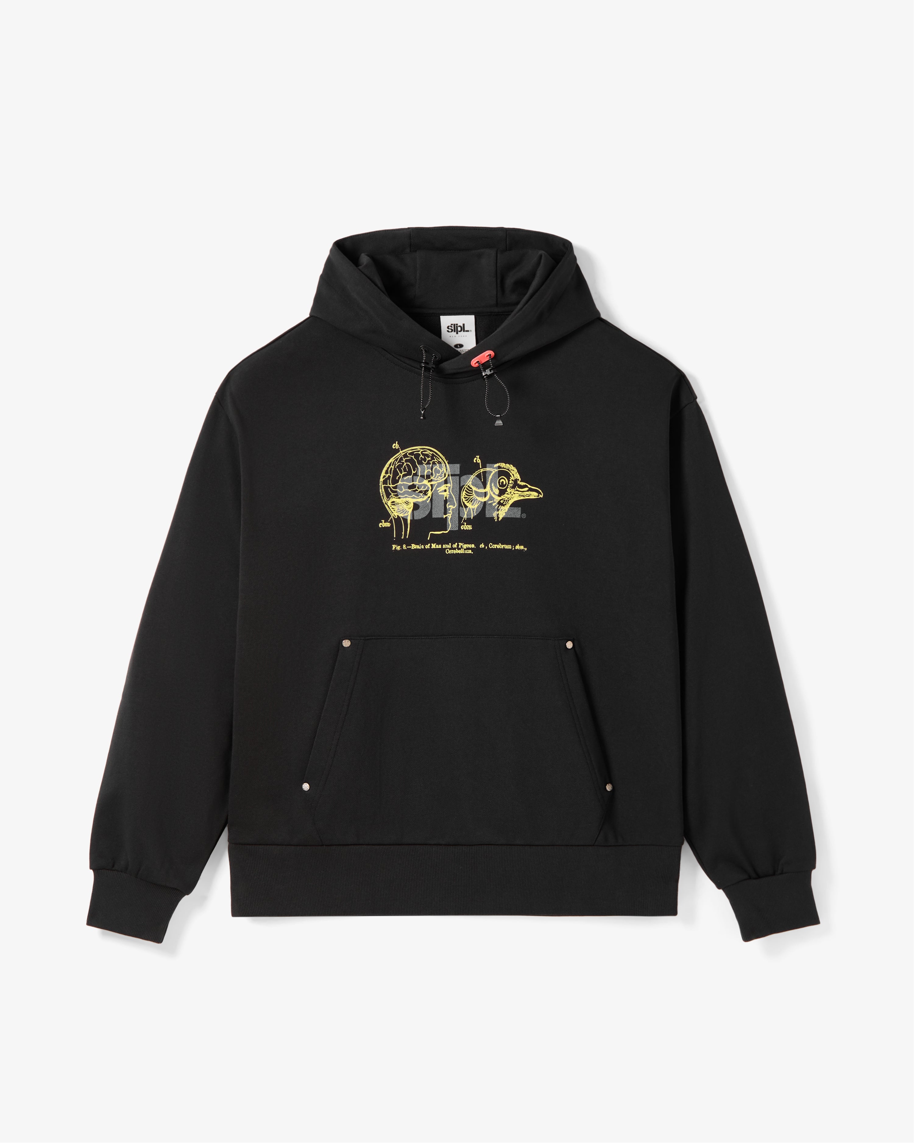 APEX LOGO HOODIE