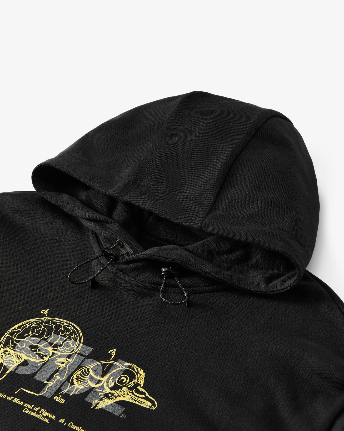 APEX LOGO HOODIE