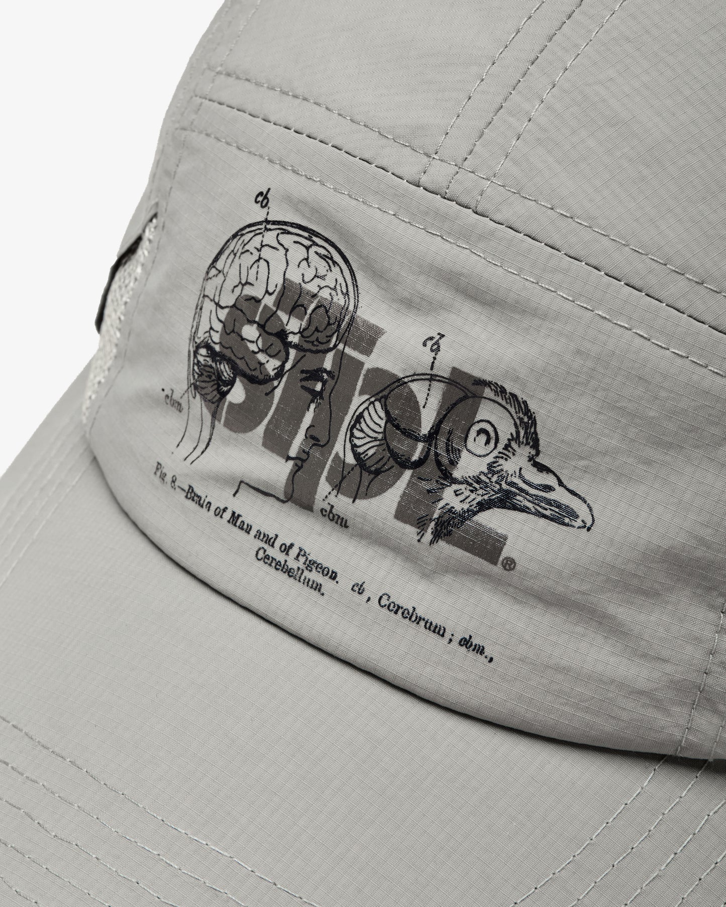 APEX LOGO 5 PANEL