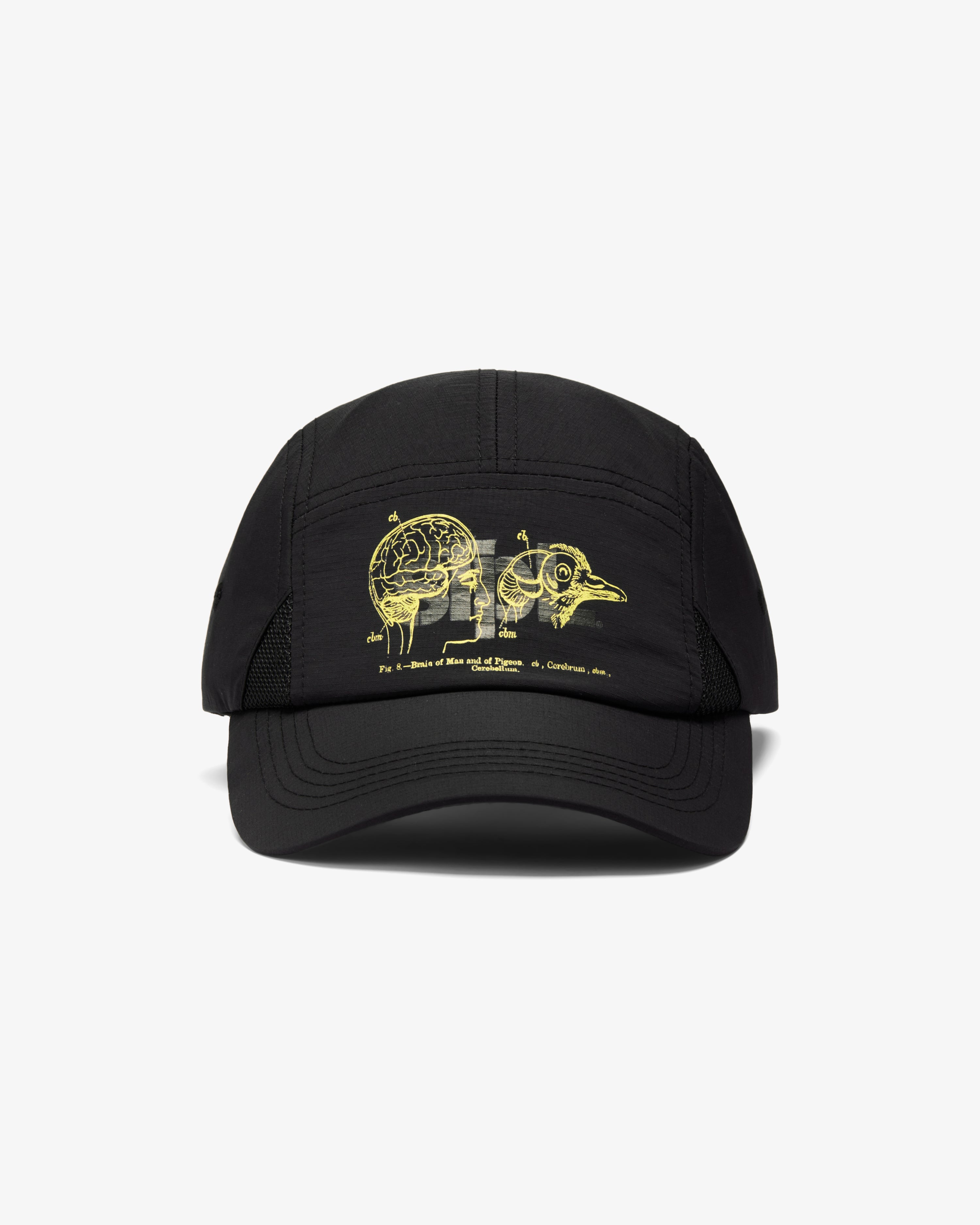 APEX LOGO 5 PANEL