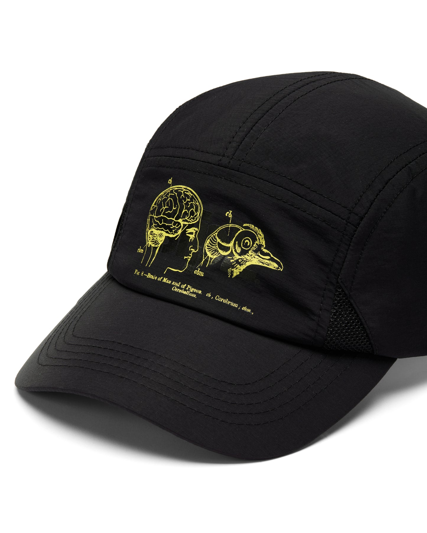APEX LOGO 5 PANEL
