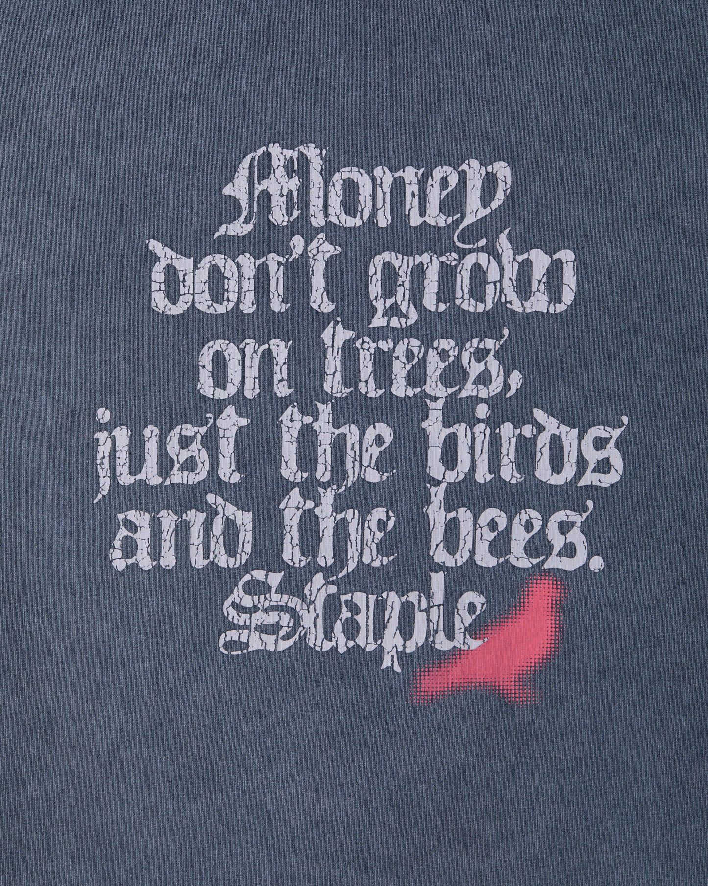 MONEY TREE WASHED TEE