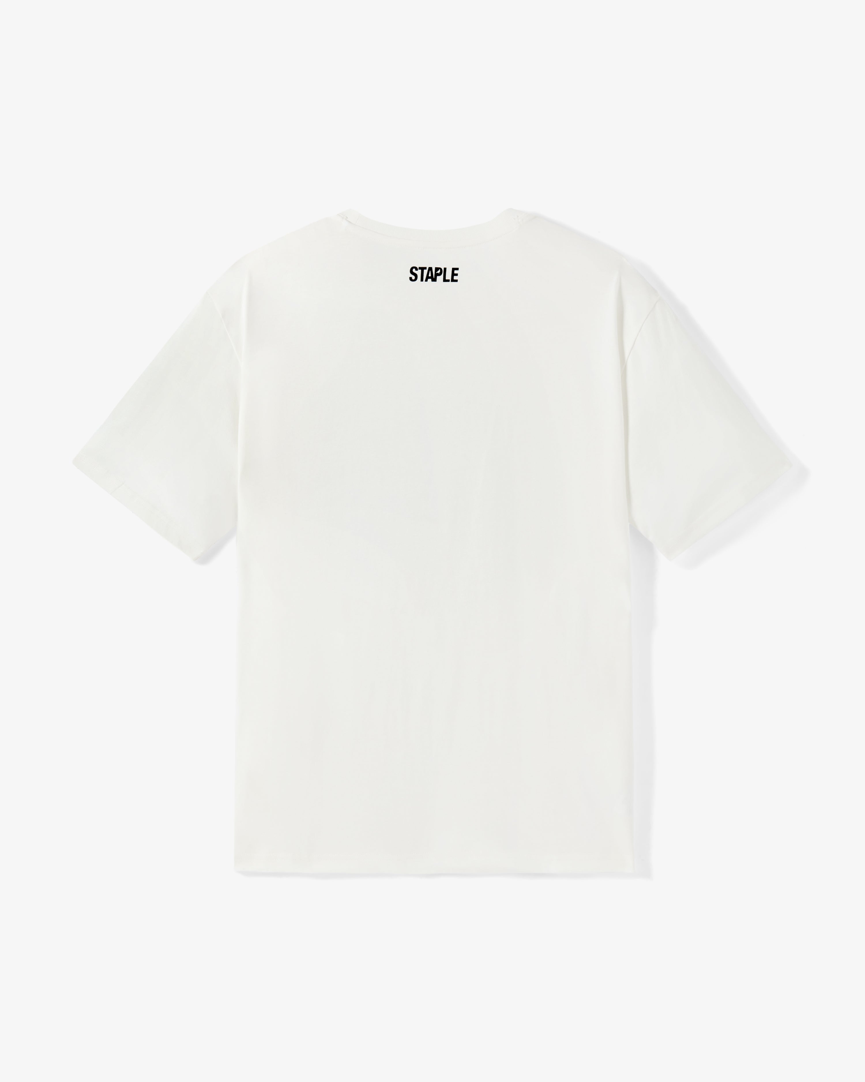 FLIGHT OF HISTORY TEE