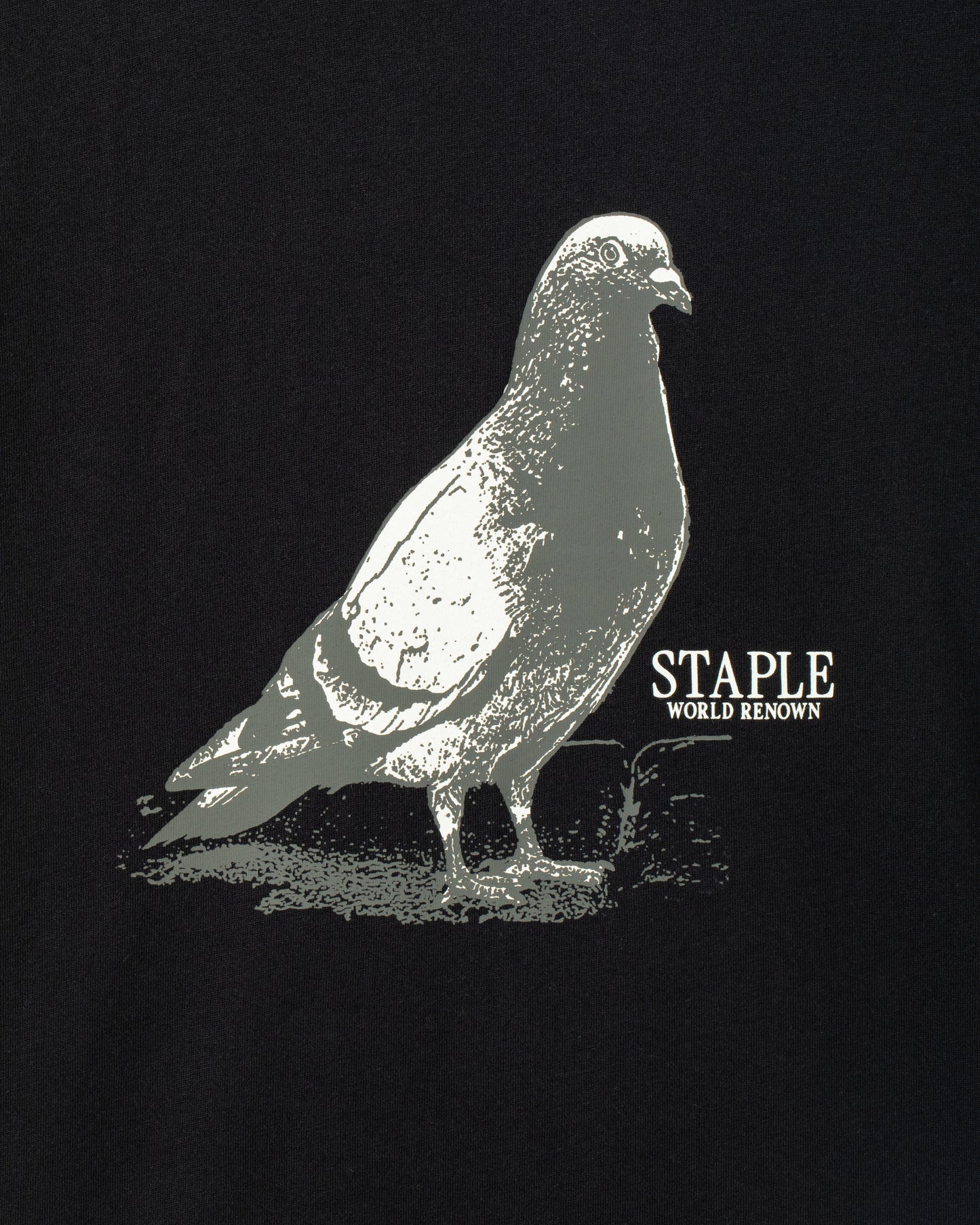 National Pigeon Day Tee