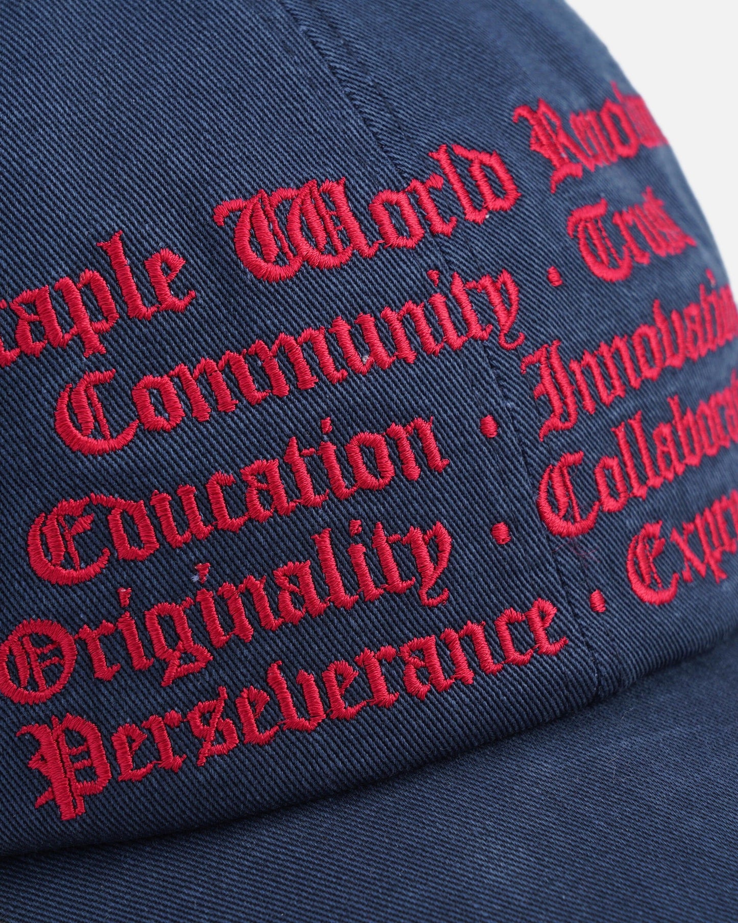 Philosophy Cap - Hat | Staple Pigeon