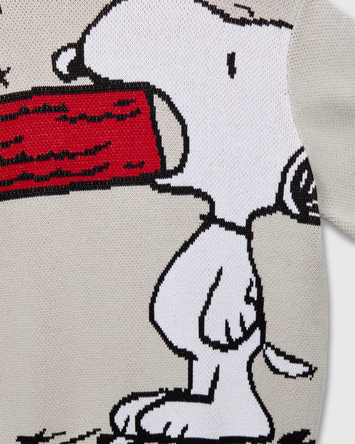 Staple x Peanuts Lunch Sweater