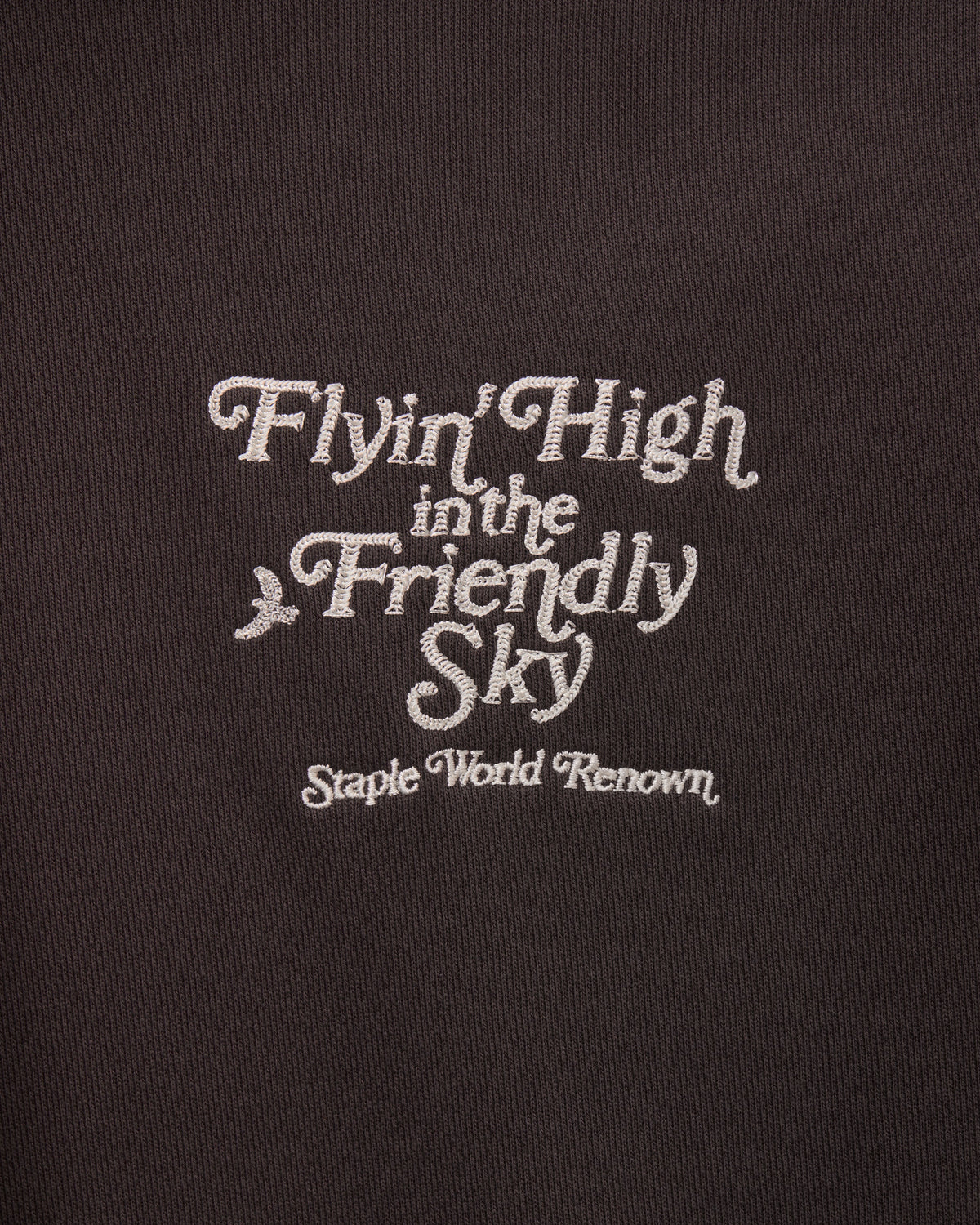 Friendly Sky Hoodie - LS Hoodie | Staple Pigeon