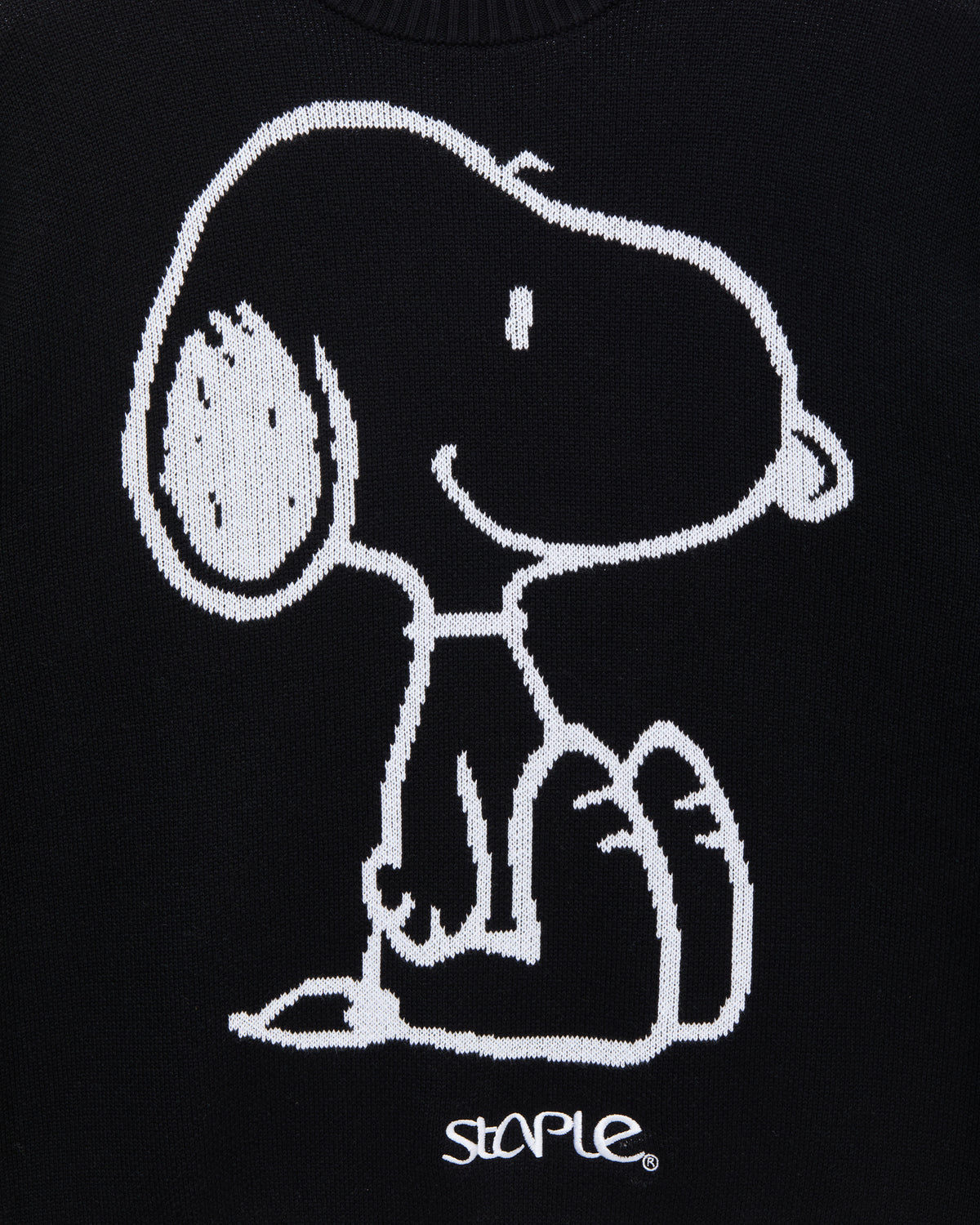 Staple x Peanuts Snoopy Sweater