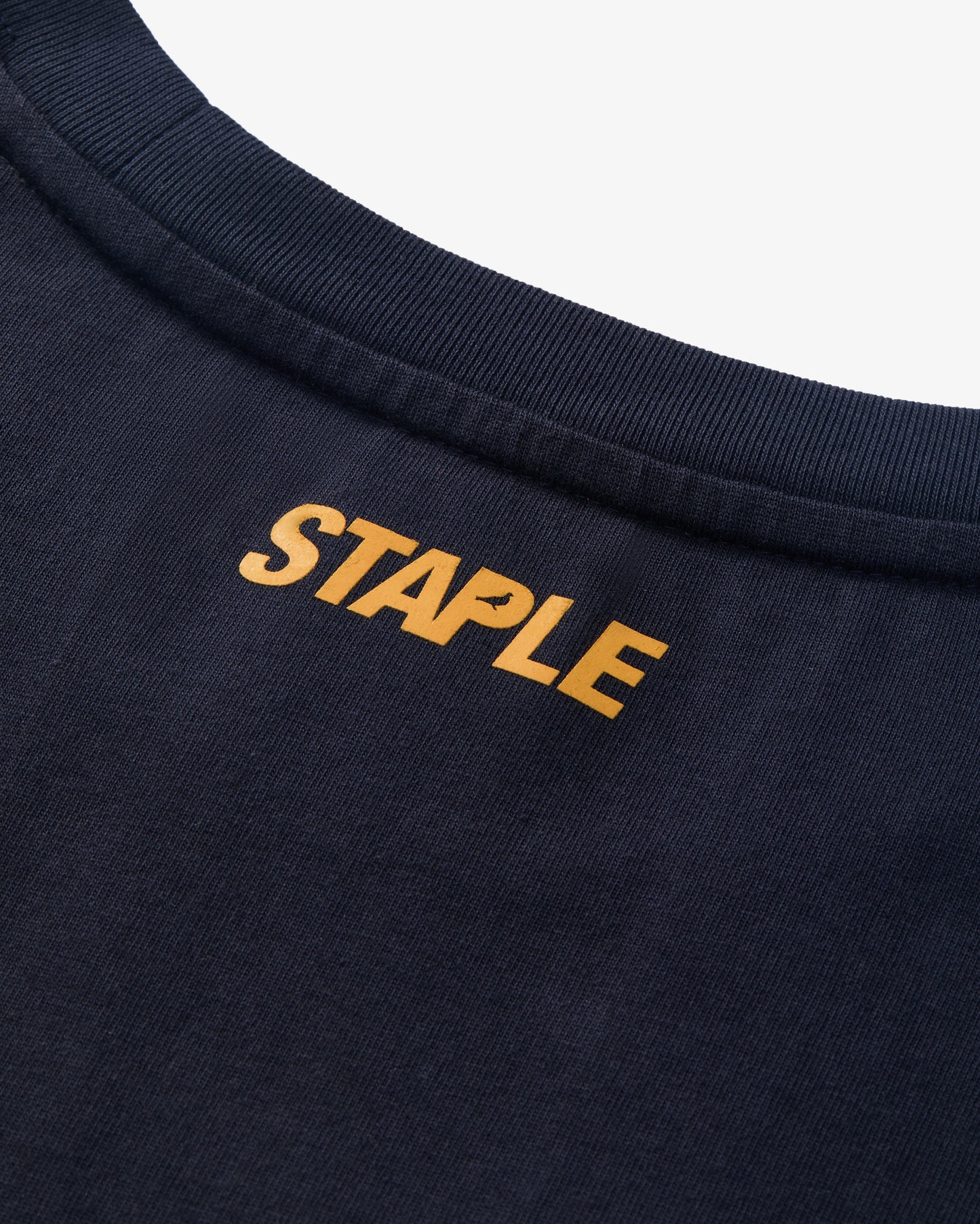 Worldwide Pigeon Tee