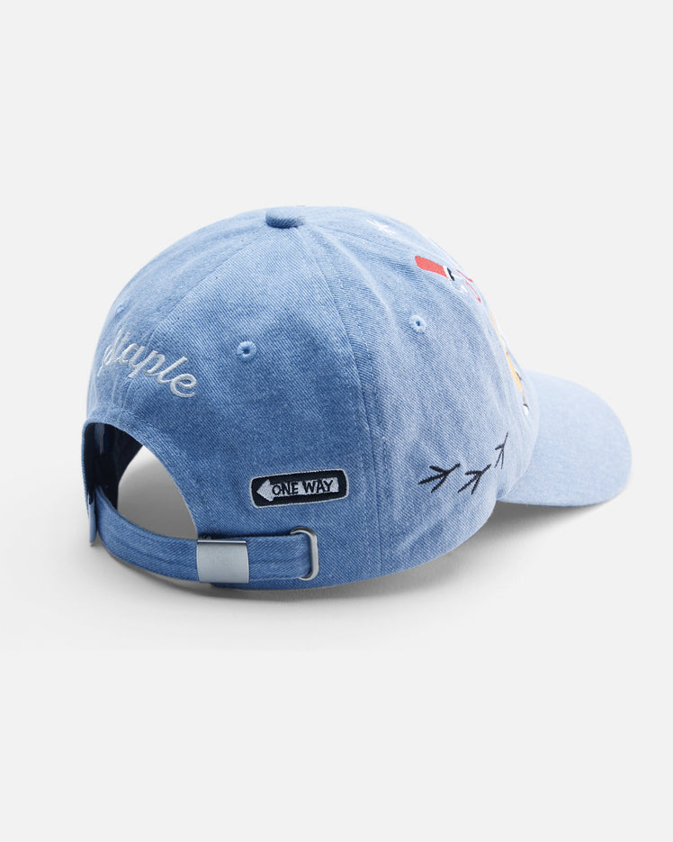 NY Icons Cap