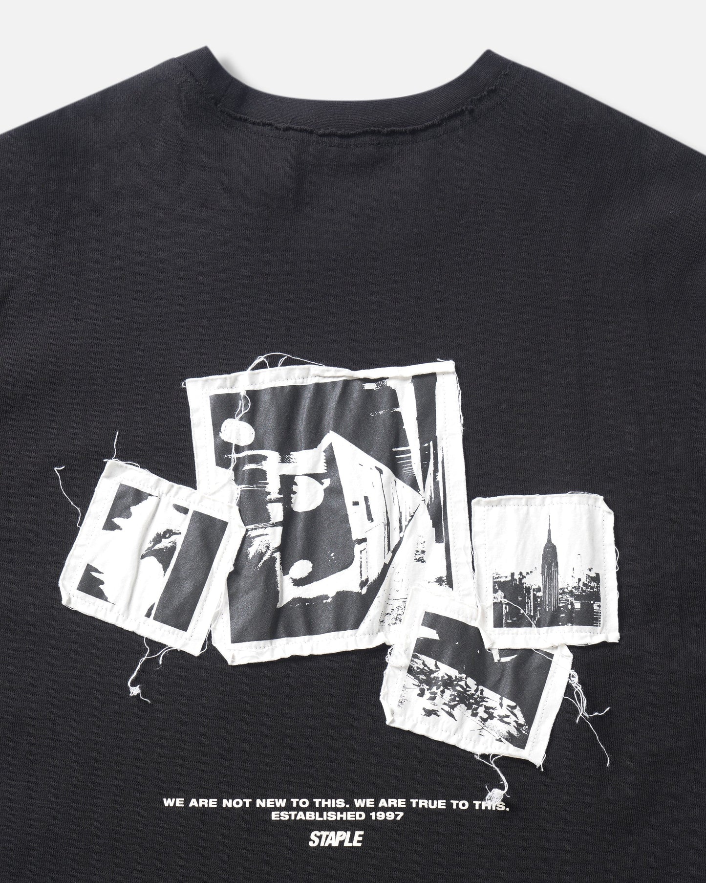 Icons L/S Tee - Tee | Staple Pigeon
