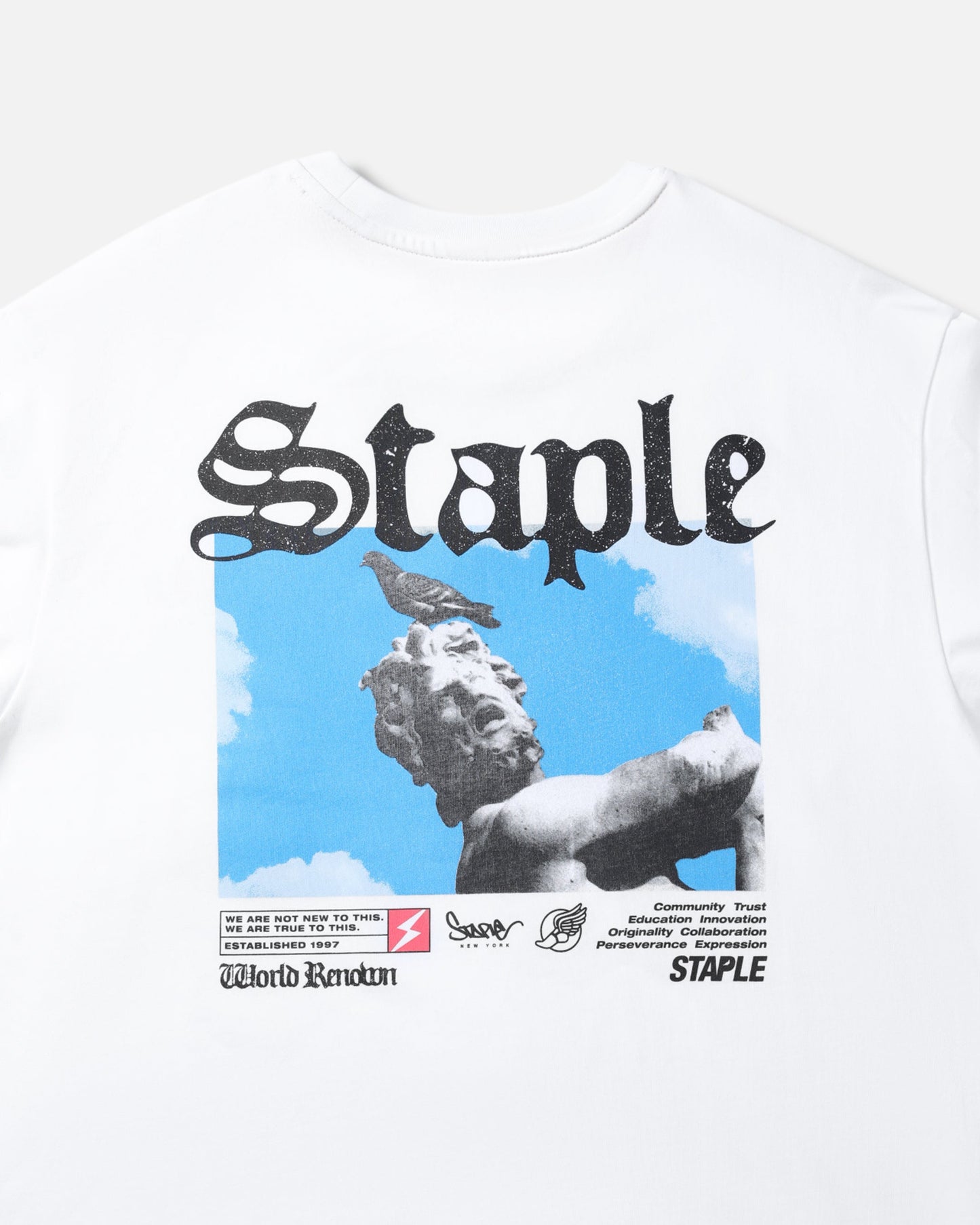 Statue Tee - Tee | Staple Pigeon