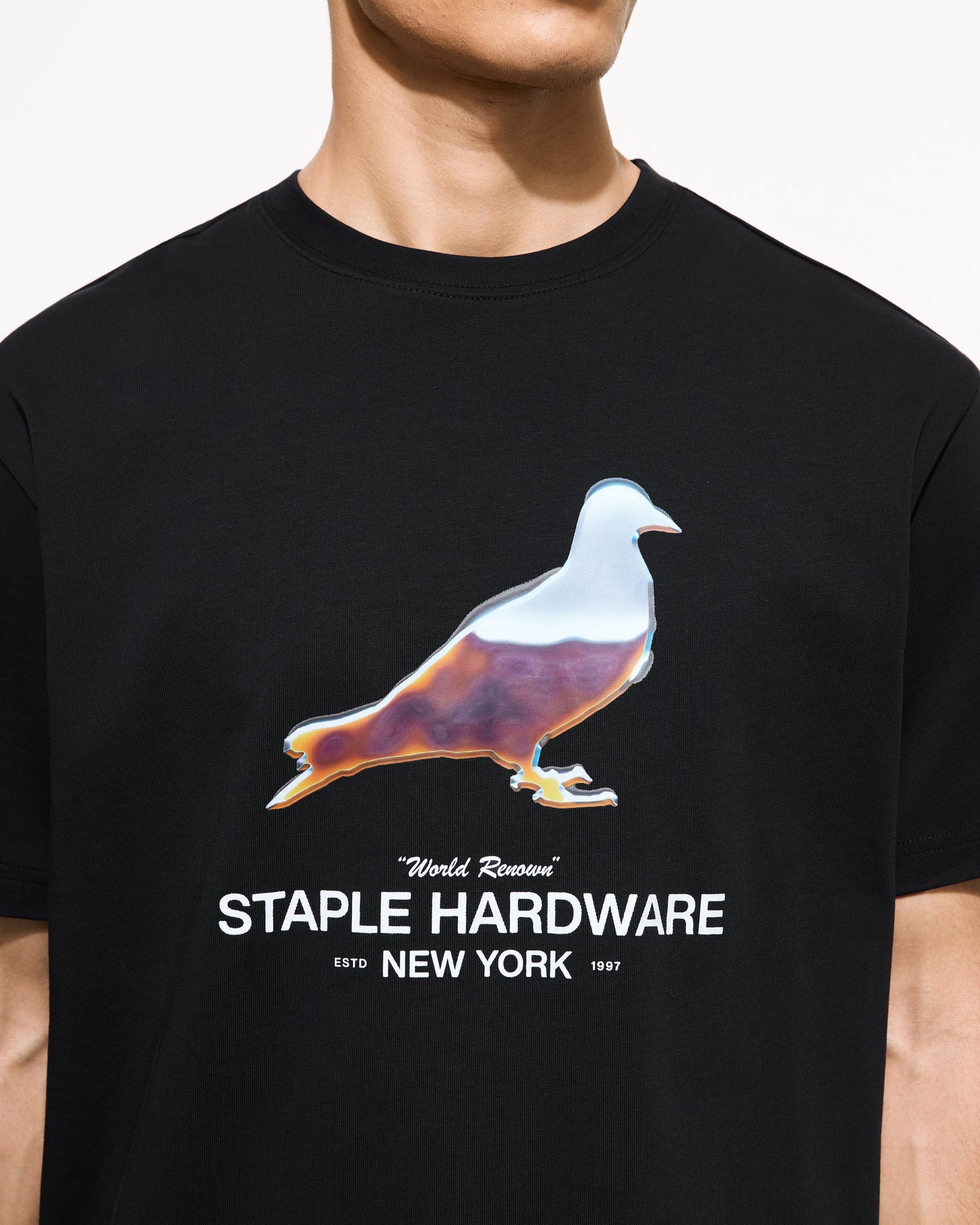 Chrome Pigeon Tee