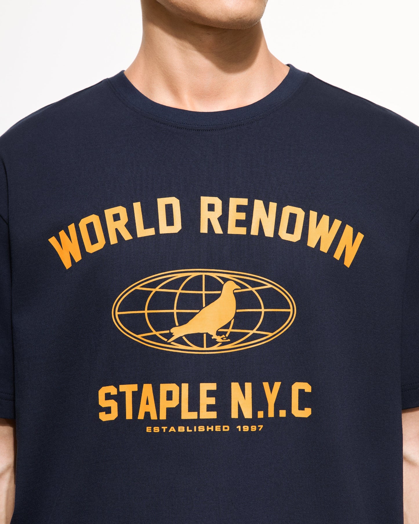 Worldwide Pigeon Tee